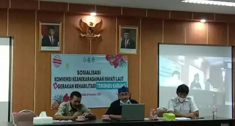 Luas Areal Terumbu Karang Capai 2,5 Juta Hektar