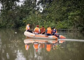 Kabar Buaya Lepas Diragukan BPBD Pastikan Tidak Ada dari Bogor