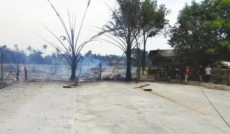 23.000 Ayam Terbakar, Ratusan Juta Melayang
