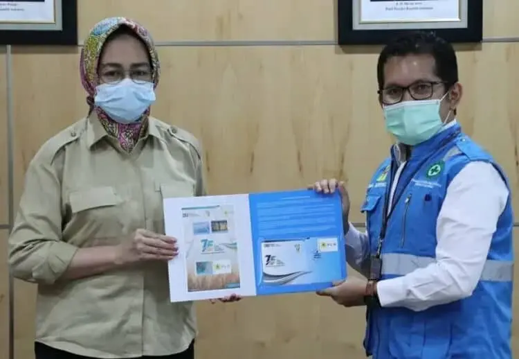 Airin Terima Penghargaan dari PLN