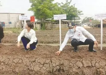PTHKTI Ajak Perempuan Peduli Bahan Pangan