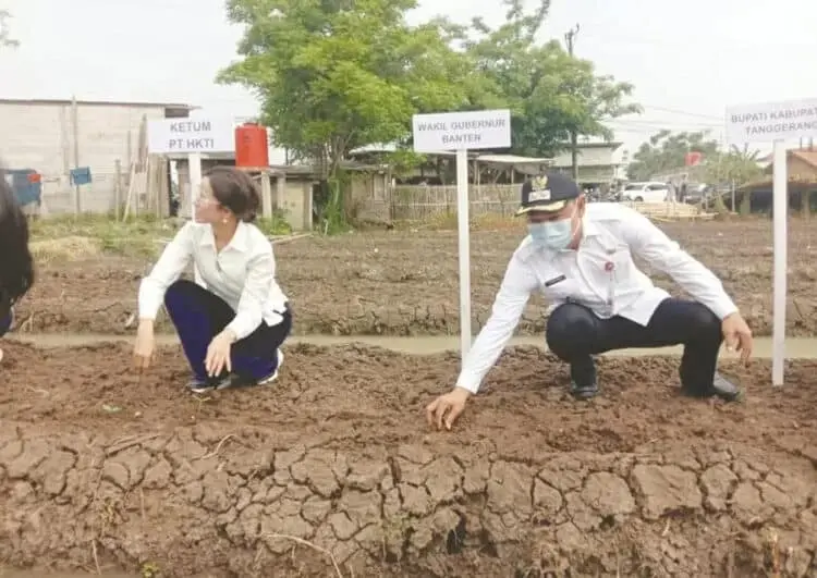 PTHKTI Ajak Perempuan Peduli Bahan Pangan