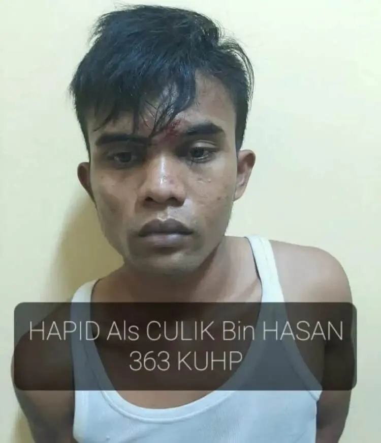 Satu Pelaku Curanmor Ditangkap, Dua Masih Diburu
