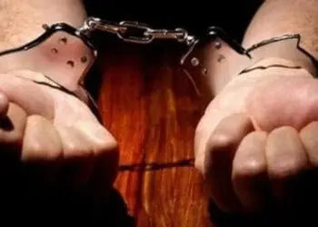 Terduga Pelaku Pembunuhan Ditangkap