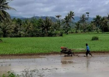Distan Kabupaten Serang Jajaki Kerjasama Kredit Alsintan