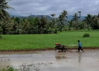 ‎Distan Kabupaten Serang Jajaki Kerjasama Kredit Alsintan