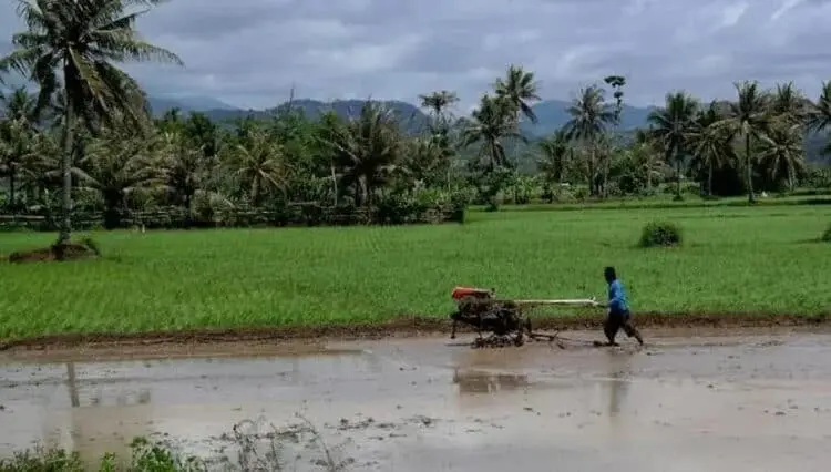 Distan Kabupaten Serang Jajaki Kerjasama Kredit Alsintan