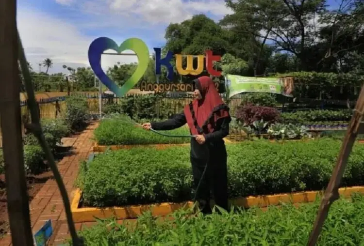 Kampung Anggur Sari Punya 27 Sayur dan Buah