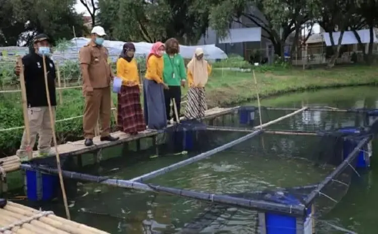 Ubah Lahan Kosong Peumahan Jadi Lahan Produktif