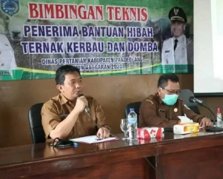 Hore, 24 Poktan Dapat Bantuan Kerbau dan Domba