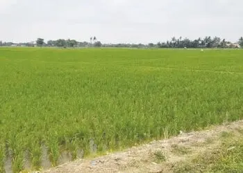 APDESI Siap Jadi Mediator Persoalan Rakyat dan Pengembang