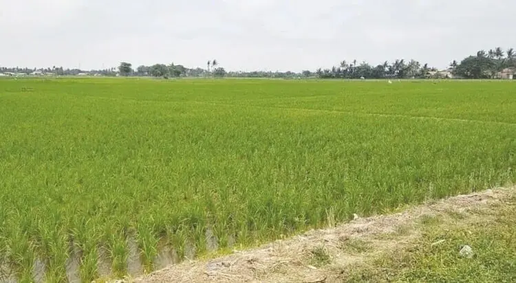 APDESI Siap Jadi Mediator Persoalan Rakyat dan Pengembang