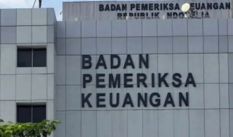 BPK Audit Dugaan Pemalsuan Data Kredit Macet