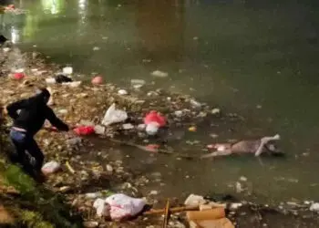 Warga Kampung Bekelir Digegerkan Jasad Mengambang Tanpa Identitas