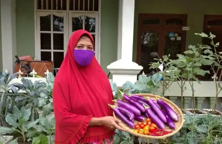 Ratusan Ribu Bibit Tanaman Disebar ke Masyarakat