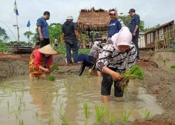 Kecamatan Pinang Bakal Punya Lokasi Agrowisata