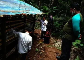 Dinilai Pontensi Besar, Warga Pandeglang Budidayakan Maggot
