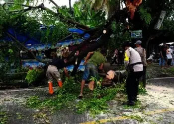 242 Kasus Bencana Alam dan 57 Musibah Kebakaran