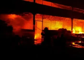 Api Langsung Berkobar Besar, Gudang Kayu di Cikande Terbakar