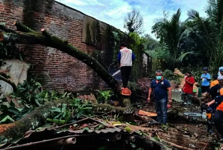 Pohon Rambutan Tumbang Ratakan Dua Rumah di Desa Citeras