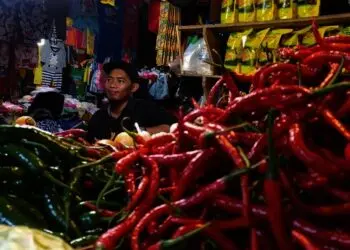 Dampak Banjir, Harga Cabai Naik per Kg Rp100 Ribu