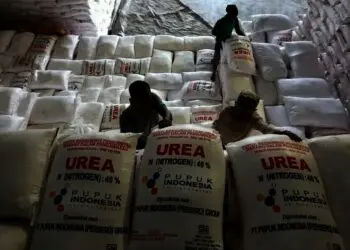 Keteteran Beli Pupuk Non Subsidi, Petani Dambakan Pupuk Subsidi