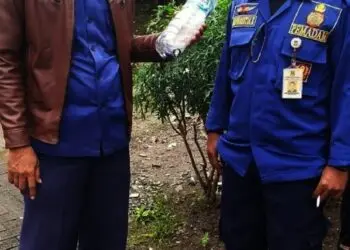 Tiga Anak Ular Cobra Ditangkap di Kabupaten Tangerang