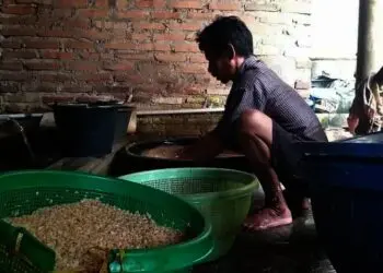 Produsen Tempe Kurangi Ukuran, Siasati Melonjaknya Harga Kedelai