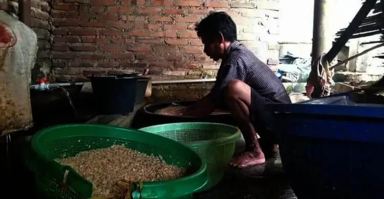 Produsen Tempe Kurangi Ukuran, Siasati Melonjaknya Harga Kedelai