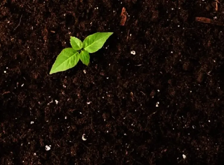 1,3 Juta Bidang Lahan Belum Terpetakan, Berharap PTSL Transparan