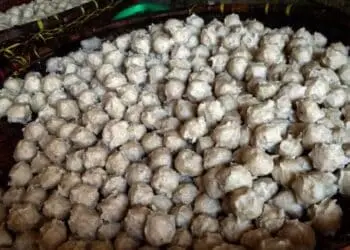 Bakso Ikan Malingping, Rasanya Lezat di Lidah