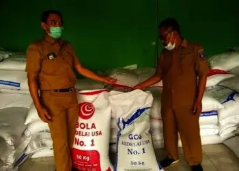 Kacang Kedelai Tembus Rp10.000 per Kilogram