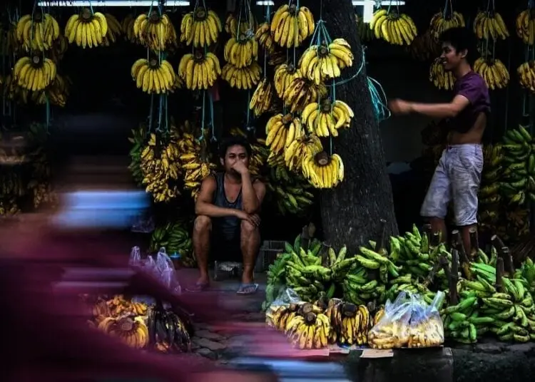 Penjualan Pisang Meningkat di Masa Pandemi