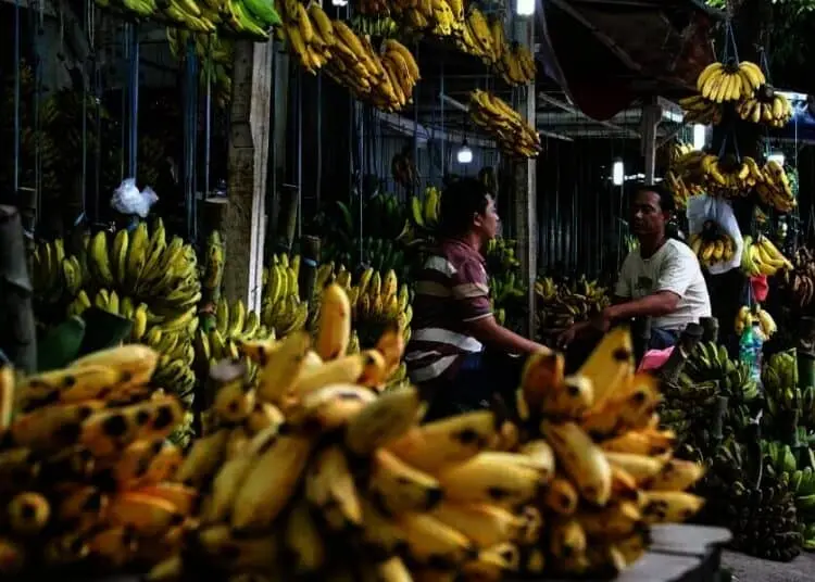 Penjualan Pisang Meningkat di Masa Pandemi