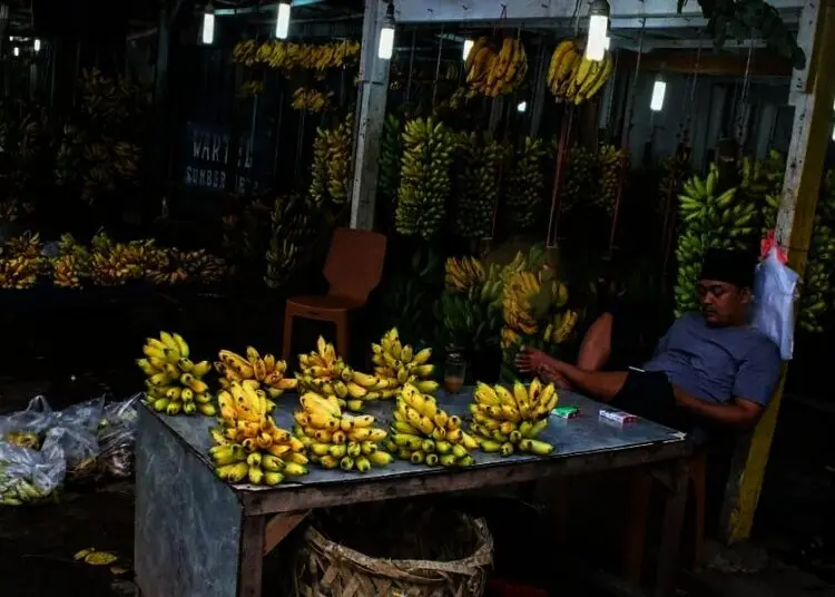 Penjualan Pisang Meningkat di Masa Pandemi