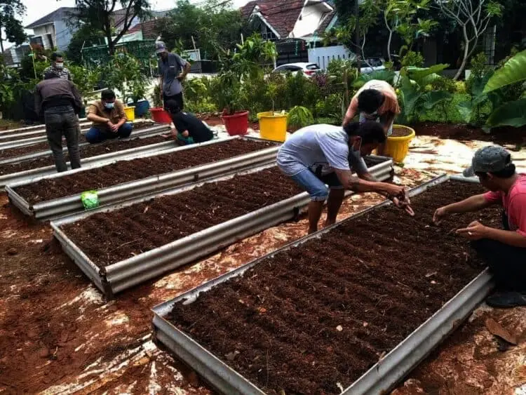 Kampung Mantul Lanjutkan Program Pertanian Tahap 2