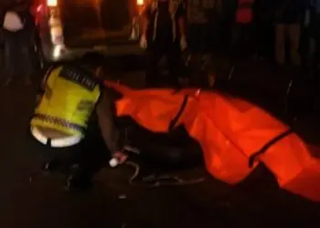 Pemotor Tewas Usai Tabrak Truk di Jalan Pahlawan Seribu