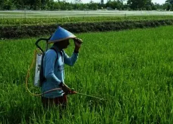 Bahan Baku Pupuk Kimia Semakin Terbatas
