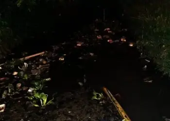 Warga Kampung Jati Baru Keluhkan Penumpukan Sampah Saluran Irigasi