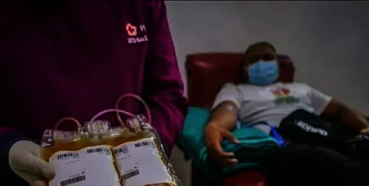 80 Penyintas Covid-19 Donorkan Plasma Konvalesen