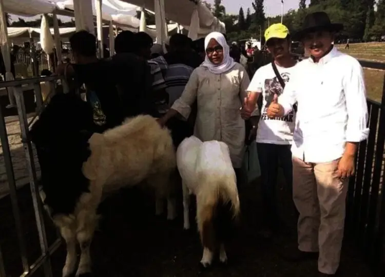 Wakil Bupati Lebak Ade Sumardi, Antara Politisi dan Pengusaha