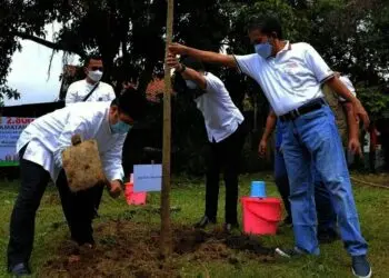 Sambut HUT Kota, Pemkot Tanam 2.800 Pohon di 13 Kecamatan