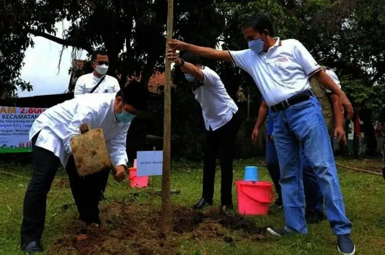 Sambut HUT Kota, Pemkot Tanam 2.800 Pohon di 13 Kecamatan