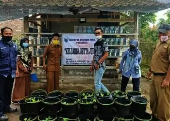 Budidaya Cupang Dinilai Mampu Mangangkat Perekonomian Warga