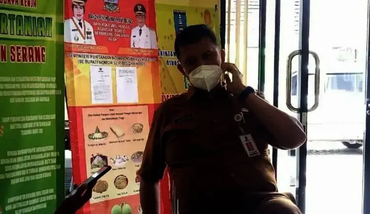 9 Penyuluh Pertanian Kabupaten Serang Tak Bisa Ikut Seleksi P3K