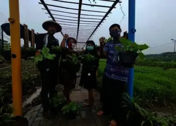 Ubah Lingkungan Kumuh Jadi Layak Dikunjungi Dengan Pertanian