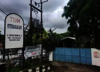 Warga Mengeluhkan Bau Peternakan Sapi milik PT. Tanjung Unggul Mandiri