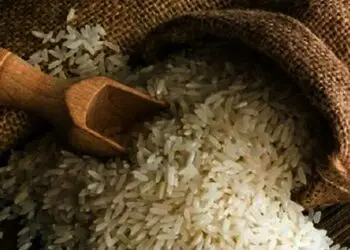 Distan Jajaki Kerjasama Pengadaan Beras dengan PT PIP