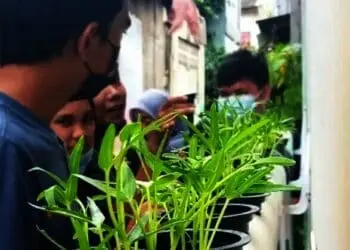 Mahasiswa Ajak Warga Budidayakan Sayur Hidroponik