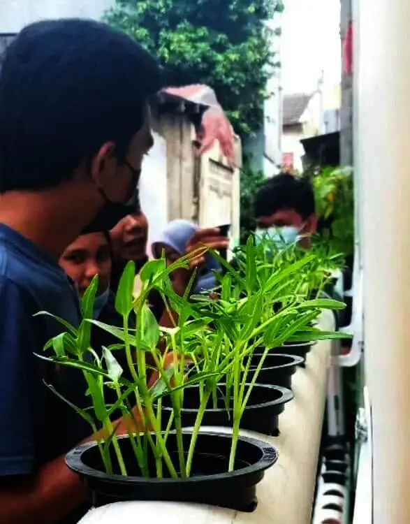 Mahasiswa Ajak Warga Budidayakan Sayur Hidroponik